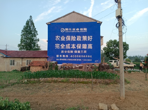 南华墙体广告为何受追捧?